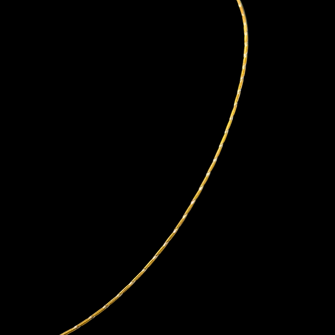 COLA DE RATON BICOLOR -CD552