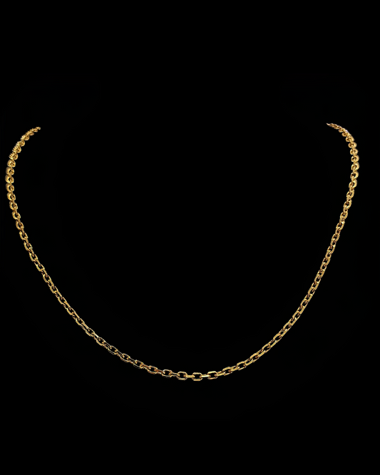 CADENA REFORZADA -CD155